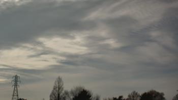 Weather camera view of Woodmere MS.