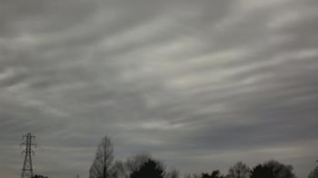 Weather camera view of Woodmere MS.