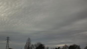 Weather camera view of Woodmere MS.