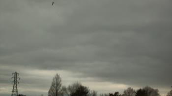 Weather camera view of Woodmere MS.