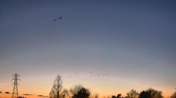 Weather camera view of Woodmere MS.