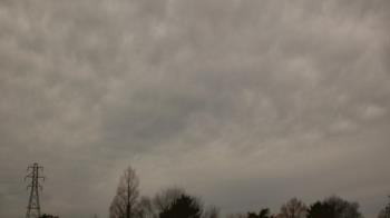 Weather camera view of Woodmere MS.