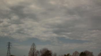 Weather camera view of Woodmere MS.