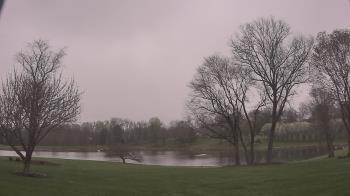 Weather camera view of The Greens.