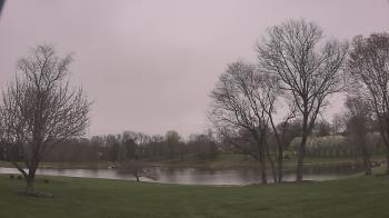 Weather camera view of The Greens.