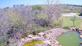 Weather camera view of Elise Walker Outdoor Learning Center.