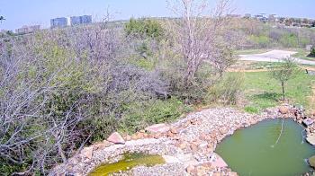 Weather camera view of Elise Walker Outdoor Learning Center.