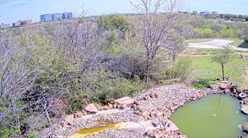 Weather camera view of Elise Walker Outdoor Learning Center.