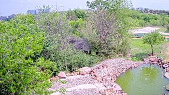Weather camera view of Elise Walker Outdoor Learning Center.