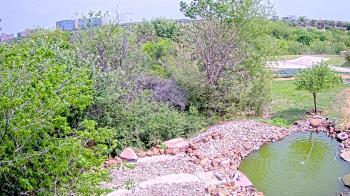 Weather camera view of Elise Walker Outdoor Learning Center.