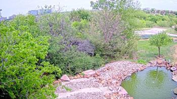 Weather camera view of Elise Walker Outdoor Learning Center.
