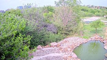 Weather camera view of Elise Walker Outdoor Learning Center.