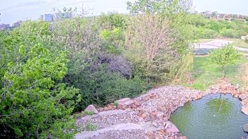 Weather camera view of Elise Walker Outdoor Learning Center.