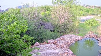 Weather camera view of Elise Walker Outdoor Learning Center.