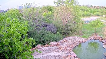 Weather camera view of Elise Walker Outdoor Learning Center.