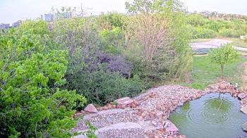 Weather camera view of Elise Walker Outdoor Learning Center.