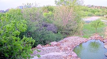 Weather camera view of Elise Walker Outdoor Learning Center.