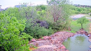 Weather camera view of Elise Walker Outdoor Learning Center.