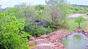Weather camera view of Elise Walker Outdoor Learning Center.