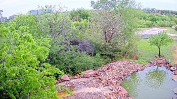 Weather camera view of Elise Walker Outdoor Learning Center.