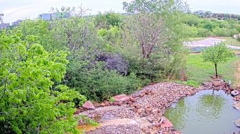 Weather camera view of Elise Walker Outdoor Learning Center.