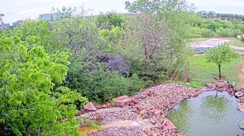 Weather camera view of Elise Walker Outdoor Learning Center.