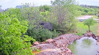Weather camera view of Elise Walker Outdoor Learning Center.