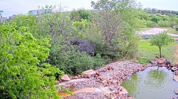 Weather camera view of Elise Walker Outdoor Learning Center.