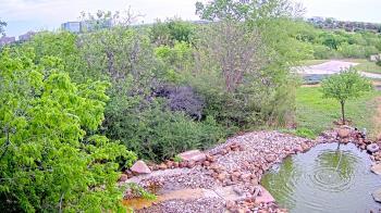 Weather camera view of Elise Walker Outdoor Learning Center.