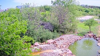 Weather camera view of Elise Walker Outdoor Learning Center.