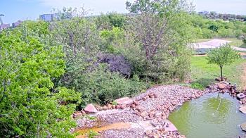 Weather camera view of Elise Walker Outdoor Learning Center.