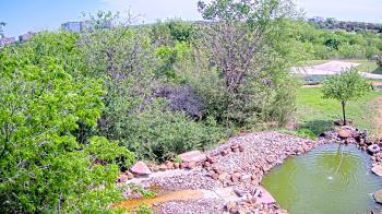 Weather camera view of Elise Walker Outdoor Learning Center.