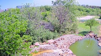 Weather camera view of Elise Walker Outdoor Learning Center.