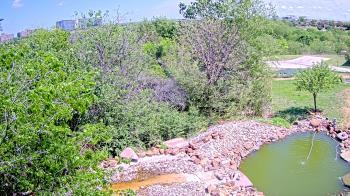Weather camera view of Elise Walker Outdoor Learning Center.