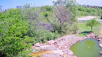 Weather camera view of Elise Walker Outdoor Learning Center.