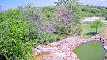 Weather camera view of Elise Walker Outdoor Learning Center.