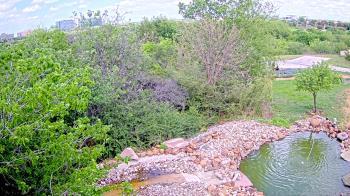 Weather camera view of Elise Walker Outdoor Learning Center.