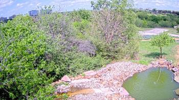 Weather camera view of Elise Walker Outdoor Learning Center.