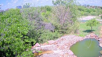 Weather camera view of Elise Walker Outdoor Learning Center.