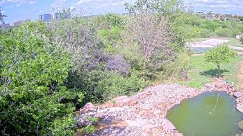 Weather camera view of Elise Walker Outdoor Learning Center.