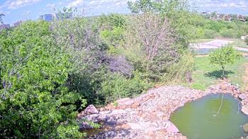 Weather camera view of Elise Walker Outdoor Learning Center.