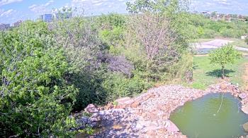 Weather camera view of Elise Walker Outdoor Learning Center.