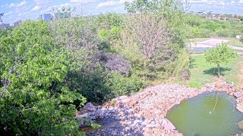 Weather camera view of Elise Walker Outdoor Learning Center.