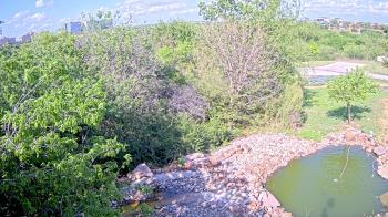 Weather camera view of Elise Walker Outdoor Learning Center.