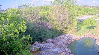 Weather camera view of Elise Walker Outdoor Learning Center.