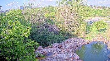 Weather camera view of Elise Walker Outdoor Learning Center.