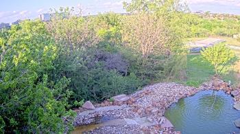 Weather camera view of Elise Walker Outdoor Learning Center.