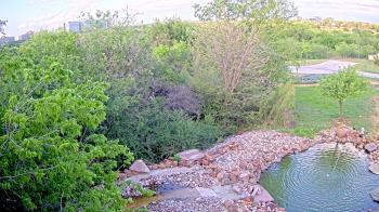 Weather camera view of Elise Walker Outdoor Learning Center.