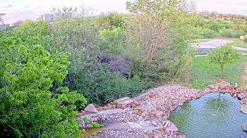 Weather camera view of Elise Walker Outdoor Learning Center.