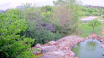 Weather camera view of Elise Walker Outdoor Learning Center.